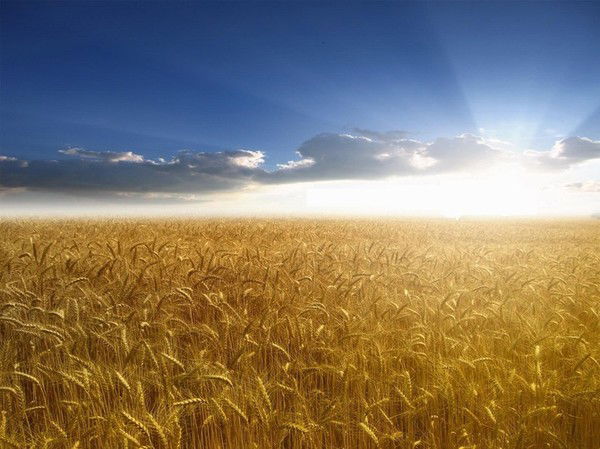 Фархад Шамсеев