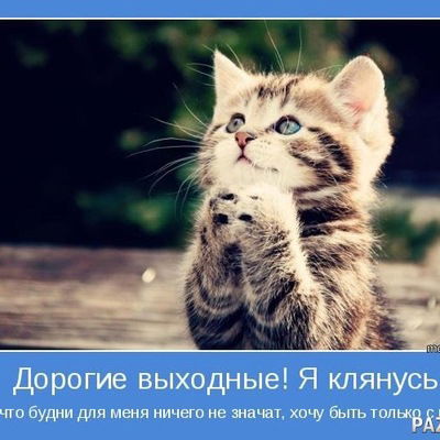 Лиза Василинич