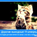 Лиза Василинич