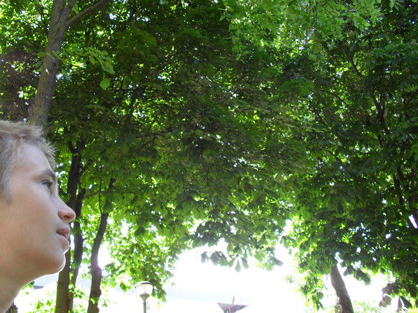 Никита Белозёров