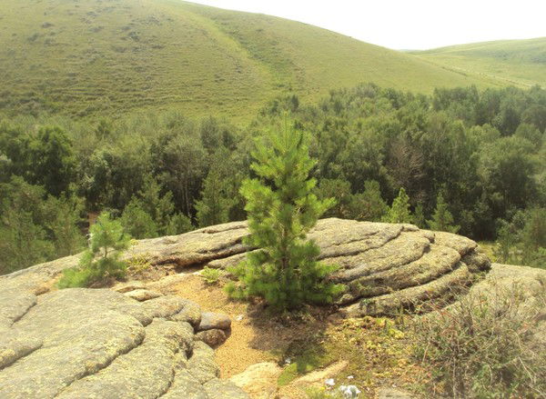 Тамара Маренич