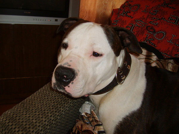 Александра Недавняя