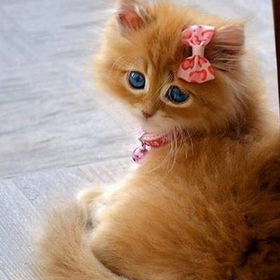 Мария Ежова