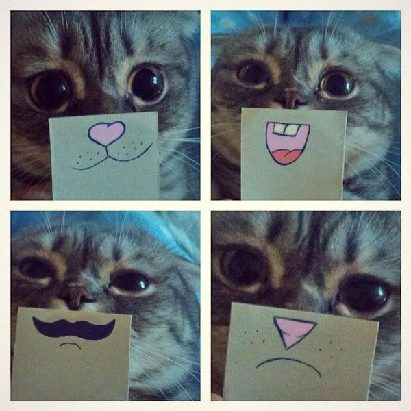 Мне Все По Фиг