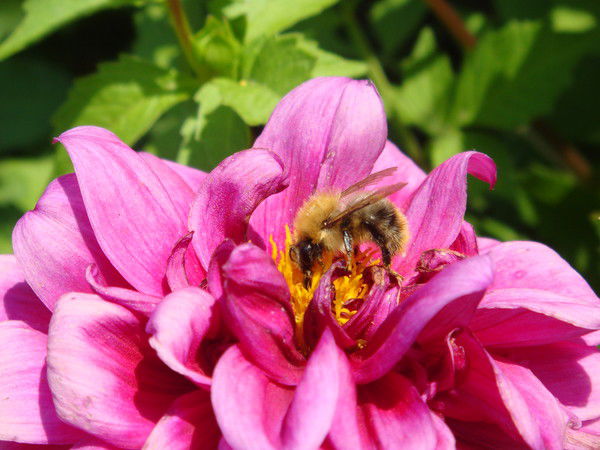 Татьяна Куренкова