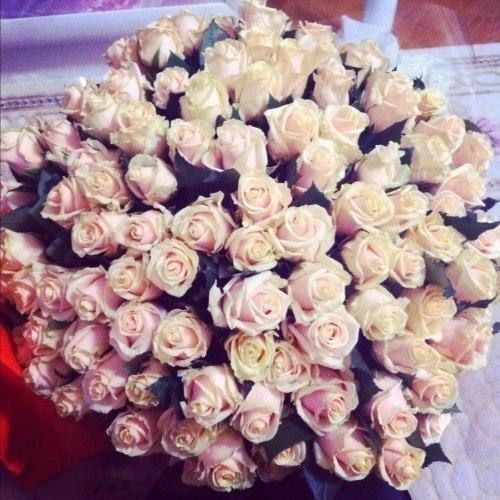 Юля Решетова