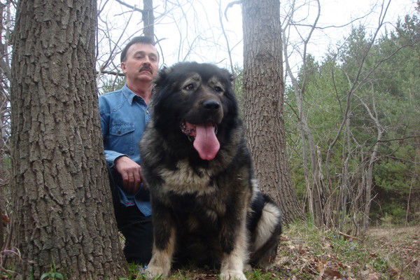 Геннадий Толстов