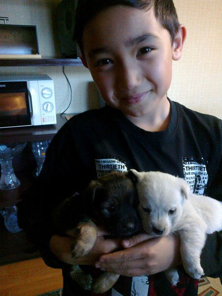 Дамир Оспанов