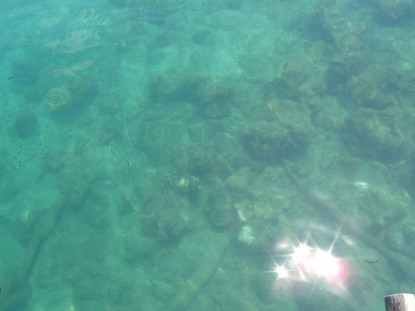 Александр Символоков