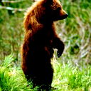 Михаил Медведь