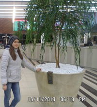 Юлия Волкова