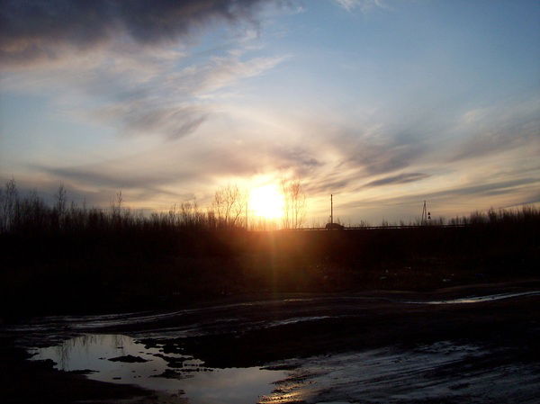 Алена Градинар