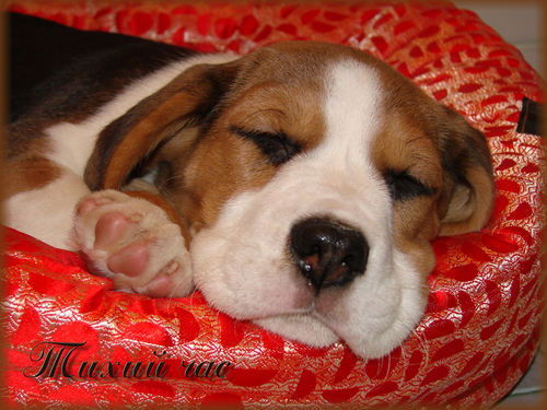 Виктор Филатов