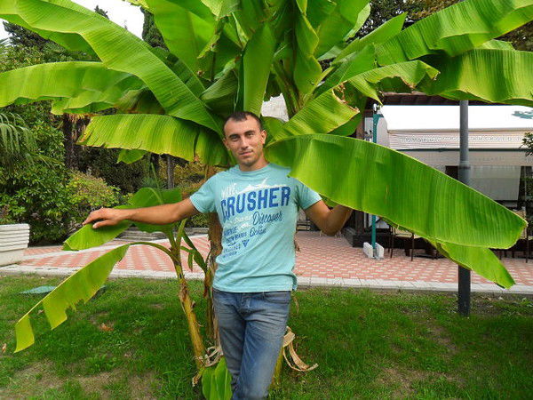 Неизвестно Неизвестно