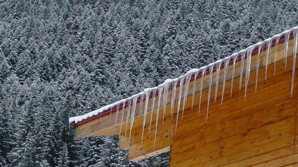 Сергей Старков