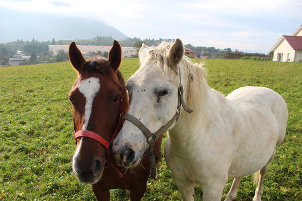 Наталья Кулеш