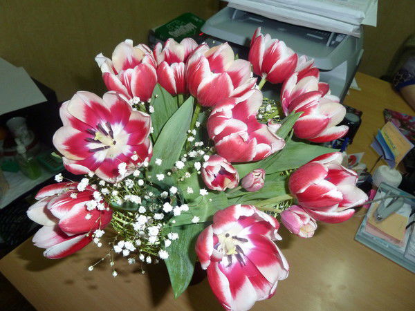 Наталия Красавица