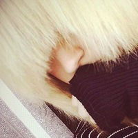 Виола Мирошникова