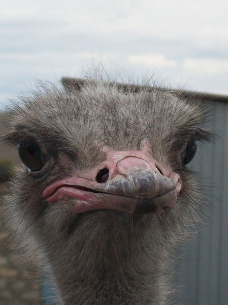 Людмила Мишина