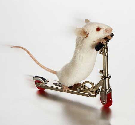 Наталья Линд