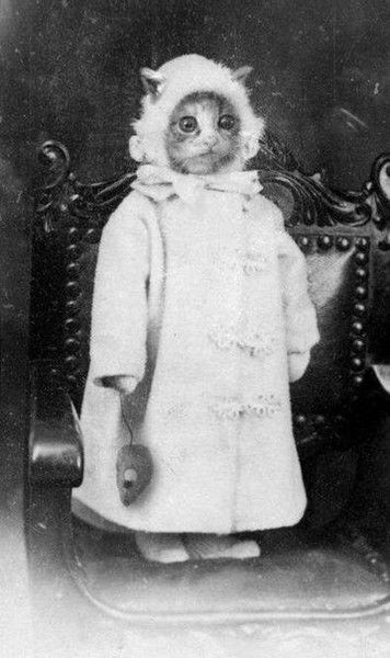 Екатерина Кустова