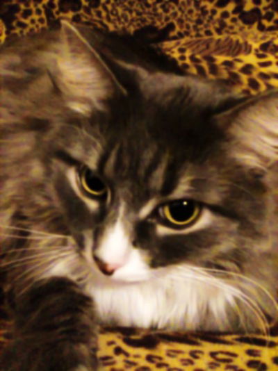 Вера Смирнова