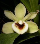 Инна Михайлова