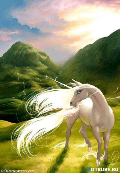 Александра Коновалова