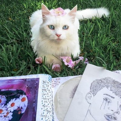 Кетти Котова