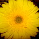 Sweet ....