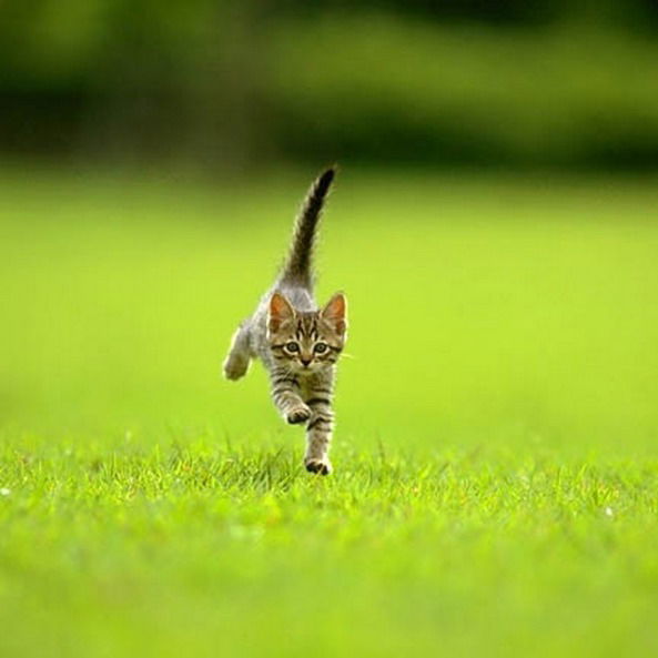 Sergey Цветков