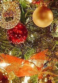 Максим Белов