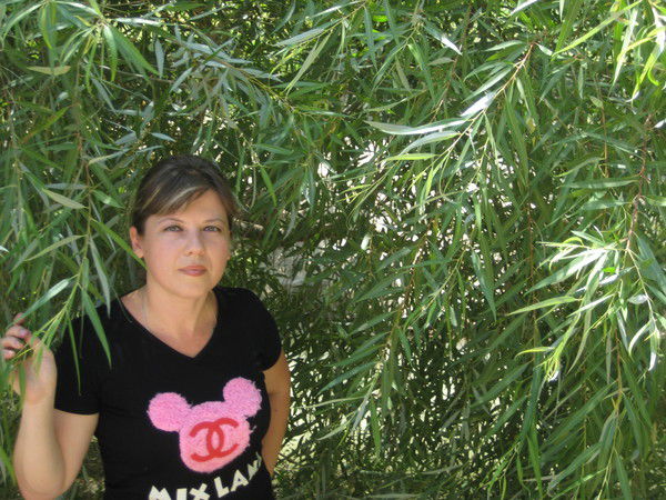 Алла Лучанинова