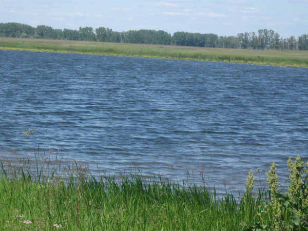 Тимур Бурков