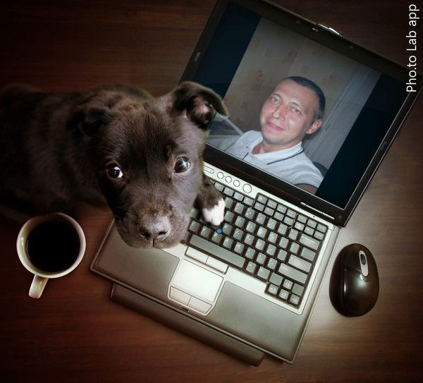 Александр Гончар