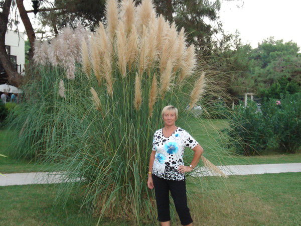 Елена Смирнова