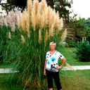Елена Смирнова
