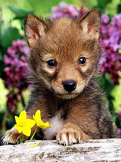 Владимир В.