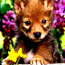 Владимир В.