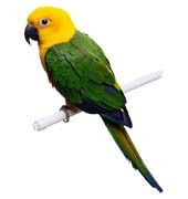 Равиль Умержанов