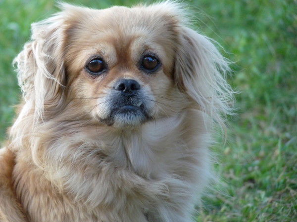 Татьяна Нечаева