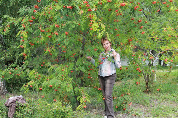 Светлана Бибинина