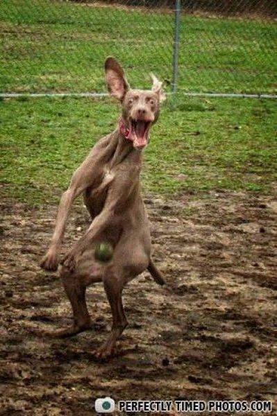 Челябинский Челябинский