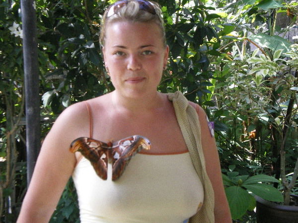 Александра Ф