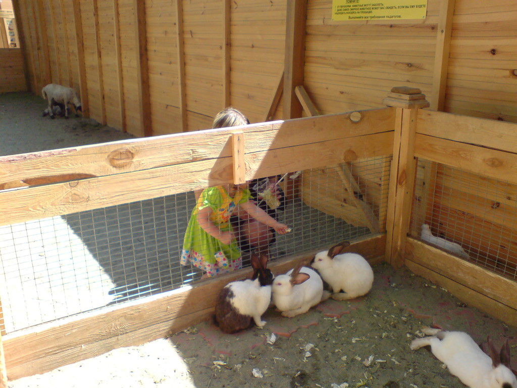 Надежда Добрева