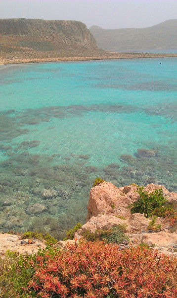 Ольга Ольга