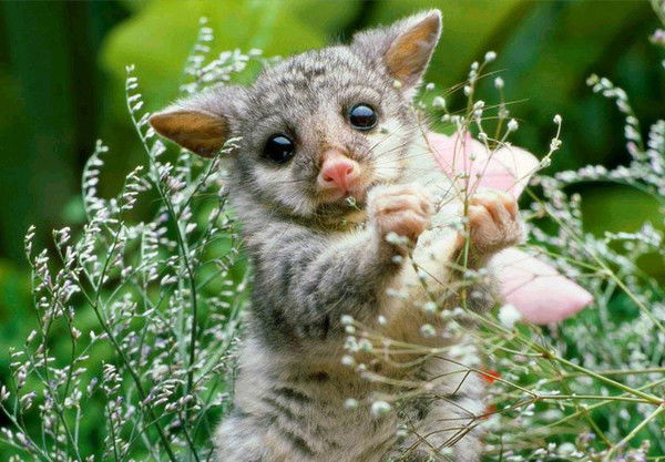 Ольга Нефедова