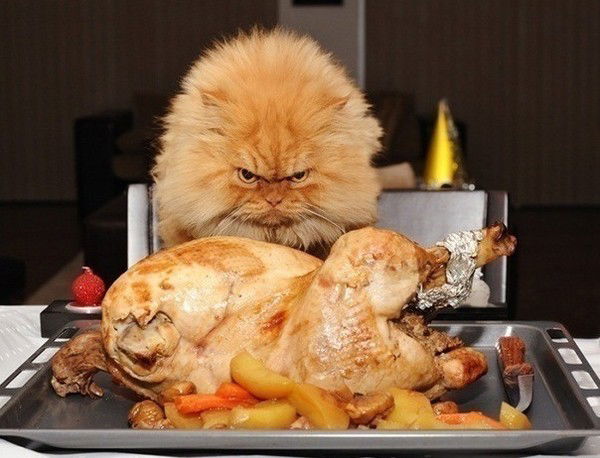 Хищник *******