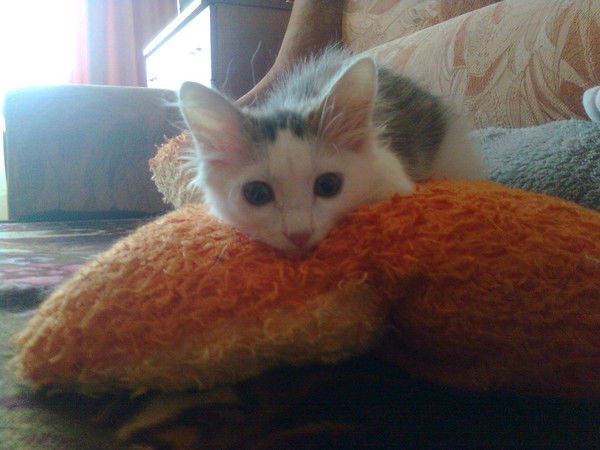 Кристина Гладкова