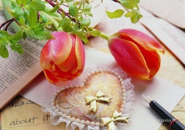 Наталья Чеканикова